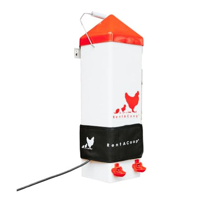 RentACoop Sm Thermo Bucket Belt and 2Gal Tall Waterer