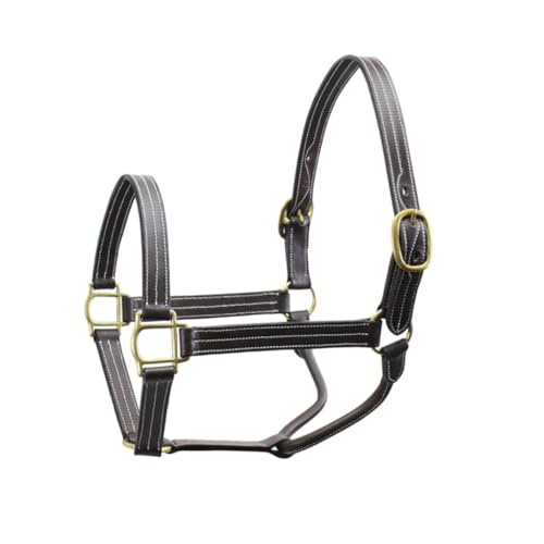 Derby Originals Coventry Triple Stitch Adjustable Leather Halter, Draft
