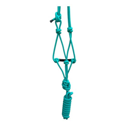 Majestic Ally Padded Beaded Nose Braided Rope Halter with 10' Matching Lead - Full (Turquoise) - color: Turquoise