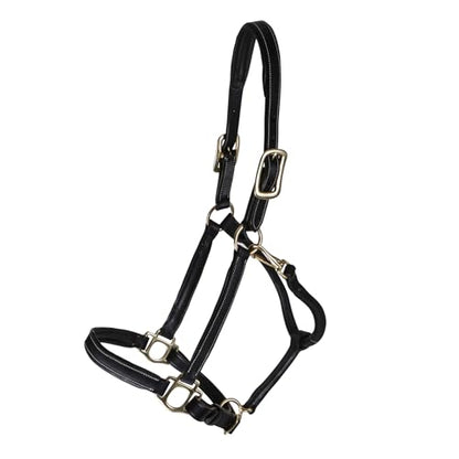 Billy Royal Scottsdale Padded 3/4 Leather Halter for Horses | Exceptional Comfort | Premium Grade A Leather | Adjustable Fit | Minimized Rubs | Enhanced Beauty - size: Full
