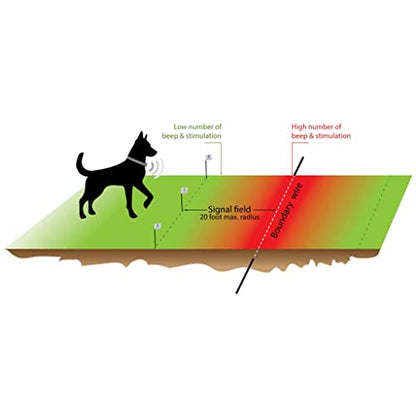 Underground Electric Dog Fence Kit, Standard, 1-Dog, Complete System | Complete DIY system: digital transmitter, waterproof receiver(s), boundary + twisted wire, training flags, splices, Premium - size: 1000 ft
