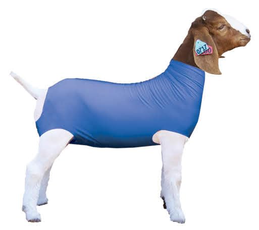 Show Pro Blue Spandex Goat Tube for Show Goats - Made in America. Show Livestock Supplies: Goat Covers & Blankets. (Medium) - size: Medium