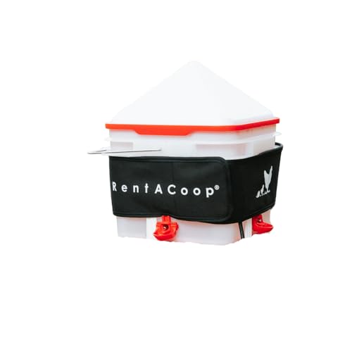 RentACoop LG Thermo Bucket Belt and 2 Gal Center Bucket Waterer