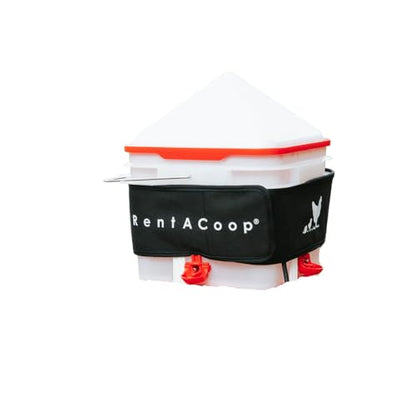 RentACoop LG Thermo Bucket Belt and 2 Gal Center Bucket Waterer
