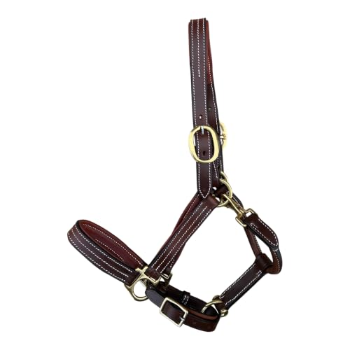 Leaders Premium Padded Leather Horse Halter - Exclusive Pre-Oiled Aniline Leather with Lacquered Solid Brass Hardware & Machined Structural Rings - size: Draft Size With Name Plate