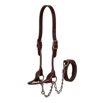 Weaver Leather Bombshell Show Halter - size: Medium