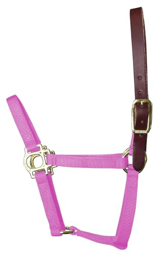 Foal & Yearling Premium Breakaway Nylon Halter with Leather Crown, Yearling, Hot Pink