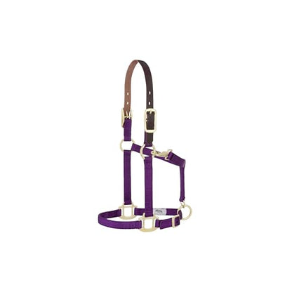 Weaver Leather Adjustable Breakaway Nylon Horse Halter, Purple, Weanling/Pony