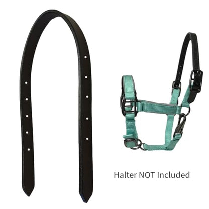 Tahoe Tack 14" Mini Horse Halter Replacement Breakaway Crown – Premium Single Layer Black Leather, Flexible and Durable Design