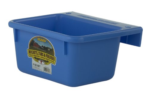 Little Giant® Plastic Mini Feeder | Fence Feeder | Goat Feeder | Durable & Mountable Bucket for Livestock | Made in USA | 6 Quart | Berry Blue