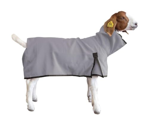Weaver Goat Blanket S Gray