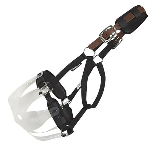 Thinline Turnout Halter for Use with Grazing Muzzle | Horse Equine Safe Comfortable Adjustable Breakaway Halter - Size Options - size: Oversize