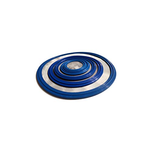 5 Micron VITON/FKM Tri Clamp Screen Filter Gasket 316L (5Uf Micron/2000 Mesh) Stainless Steel Pharmaceutical Grade Filter Mesh. VITON (3") - size: 3 Inch