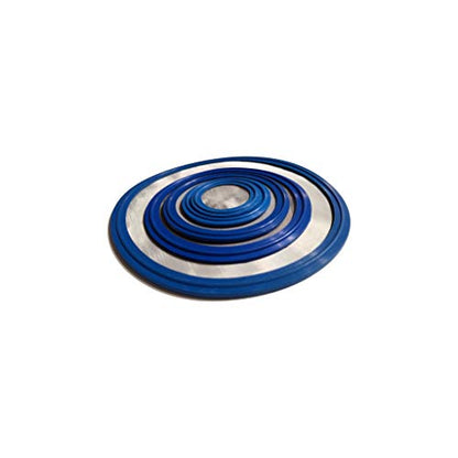 5 Micron VITON/FKM Tri Clamp Screen Filter Gasket 316L (5Uf Micron/2000 Mesh) Stainless Steel Pharmaceutical Grade Filter Mesh. VITON (3") - size: 3 Inch