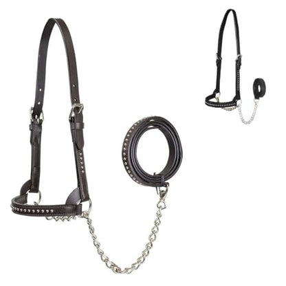 Derby Originals New and Improved Premium Show Spotted Flat Leather Cattle Show Halter with Matching Chain Lead - color: Havana, size: Large (950lbs-1500lbs)