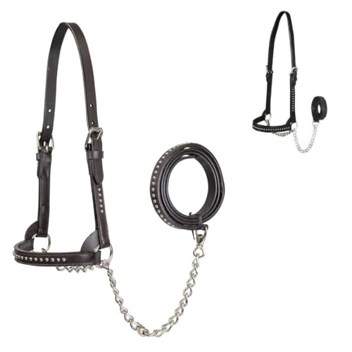 Derby Originals New and Improved Premium Show Spotted Flat Leather Cattle Show Halter with Matching Chain Lead - color: Black, size: Large (950lbs-1500lbs)