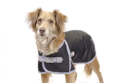 Derby Originals Horse Tough 600D Ripstop Waterproof Winter Dog Coat 150g Medium Weight - size: 22 in