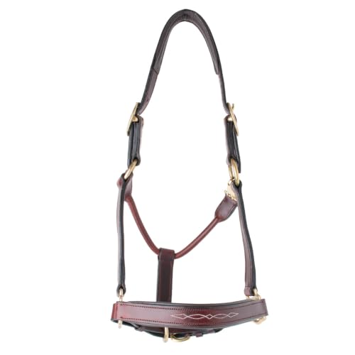 Country Pride Premium Padded Leather Halter, Quality Leather, Padded Noseband and Crown, Fancy Stitching, Solid Brass Hardware, Adjustable Chin, Double Crown, Comfortable Halter, Barn or Show Use - size: Large Horse