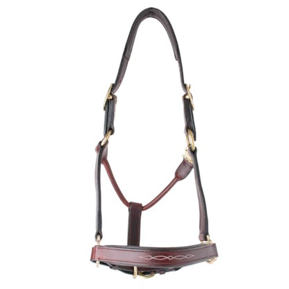 Country Pride Premium Padded Leather Halter, Quality Leather, Padded Noseband and Crown, Fancy Stitching, Solid Brass Hardware, Adjustable Chin, Double Crown, Comfortable Halter, Barn or Show Use - size: Large Horse