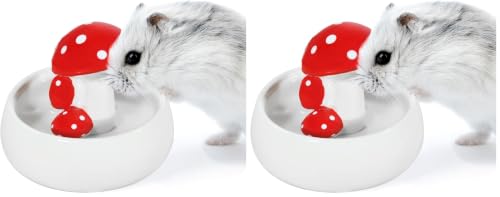Niteangel Hamster Feeding & Water Bowls- Mushroom Ceramics Series Food Dish Feeding Bowls for Dwarf Syrian Hamsters Gerbils Mice Rats or Other Similar-Sized Small Pets (Water Bowl) (Pack of 2) - size: Water Bottle (Pack of 2)