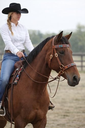 Horse Brown Leather Beaded Bitless Padded Sidepull Bridle w/ Reins 77RS17 - color: Tan/Beaded