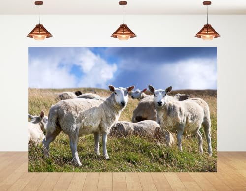 4x4ft Fabric White Wool Sheep Backdrop Flock Grazing Dry Grass Hill Fluffy Cloud Bright Blue Sky Farm Background Tapestry Pasture Animal Decorations Photo Booth Props - size: 4x4ft