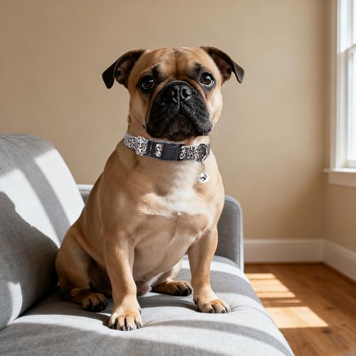 Small Dog Collar with Bell,Leopard XXS/XS Puppy&Cat Collar Boys with Buckle - color: 5, size: S(Neck Fit 10''-14''）
