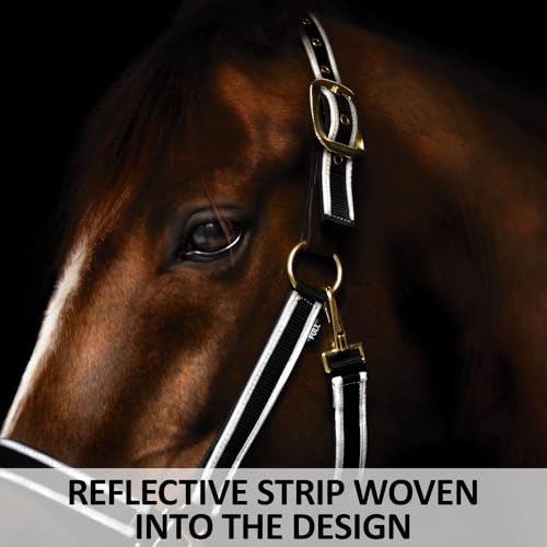 Schneiders Padded Reflective Breakaway Halter for Horses | Adjustable Fit | Safety Leather Tab | Night-Time Visibility - size: Oversize
