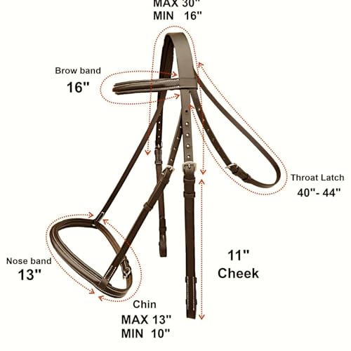 Majestic Ally Padded Raised English Bridle, Premium Leather, Matching Laced Reins - color: Brown, size: Cob
