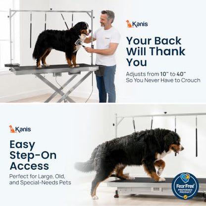 KANIS 60" Professional Electric Dog Grooming Table, 304 Steel, Heavy Duty - color: STAINLESS STEEL, size: 60"