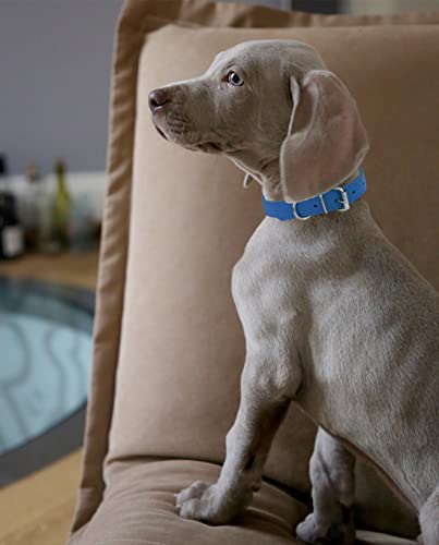 Puppy Collar for Litter Adjustable Leather ID Collars for Puppy Small Dog - size: L(Neck:14''~18'')