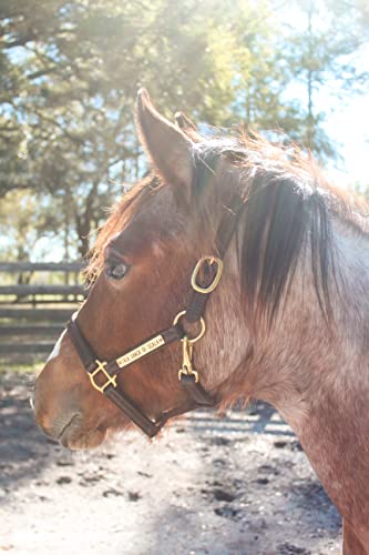 Turnout Leather Halter for Horses with Customized Engraved Name Plate | Brown Leather with Solid Brass Hardware | Fixed Chin, Double Buckle Crown - size: Warmblood