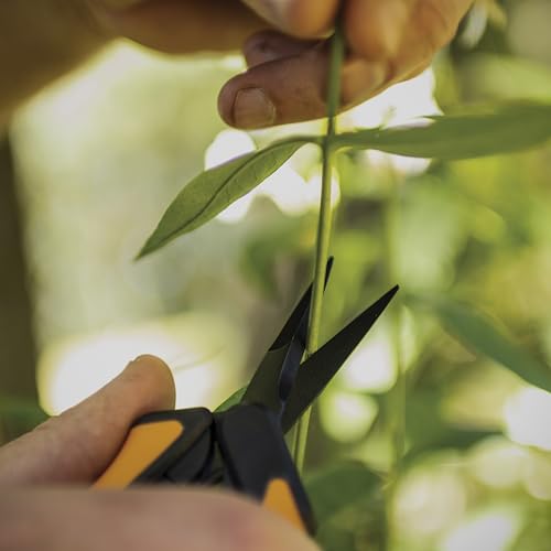 Fiskars 6" Non-Stick Pruning Snips, Resin-Resistant Garden Scissors, 2-Pack | Garden Shears for Weeds, Flower Buds & Small Plants, Steel Blades Stay Sharp, Easy Action Spring, SoftGrip Handles - style: Non-Stick Snips (2-Pack)