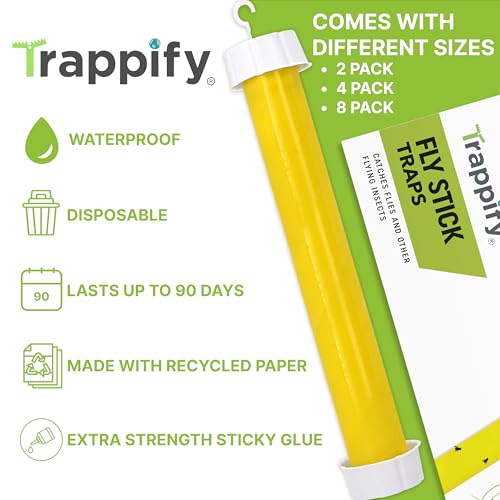 Trappify Hanging Fly Trap & Fruit Fly Traps for Indoors, Yellow, 4 Pack | Recycled Paper Stick with Ultra-Tacky Adhesive and Bait Cup, Hangs in Kitchens, Patios, Barns, Catches Flies and Gnats - size: Pack 4