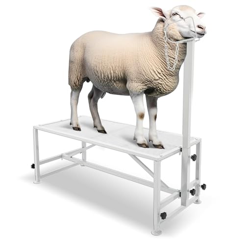 Kojem Sheep Livestock Stand 51x23, Goat Milking Stand, Trimming Stand for