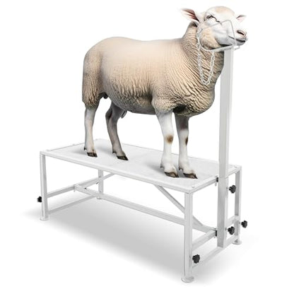 Kojem Sheep Livestock Stand 51x23, Goat Milking Stand, Trimming Stand for