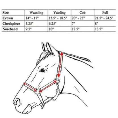 Derby Originals Triple-Stitched Leather Horse Halter – Premium Double-Layer Design with Brass Hardware – No Throat Snap for Safety, Classic Track Style – One-Year Warranty - size: Cob