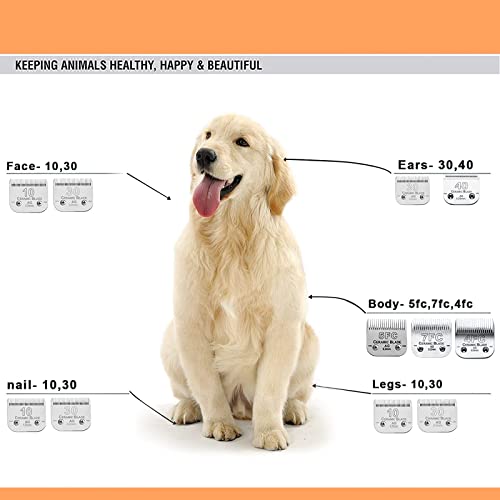 7FC Blades Dog Grooming Clipper Blade Compatible with Andis - color: 1pc 7fc:1/8''(3.2mm)