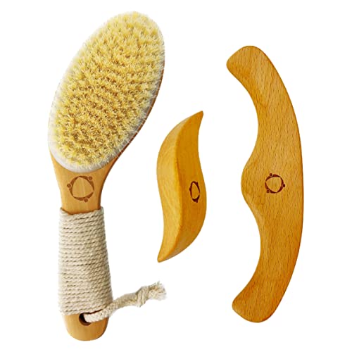 Dry Brushing Body Brush for Lymphatic Drainage with Wood Massage Tool | Vegan Dry Brush with Contoured Non-Slip Handle, Maderoterapia Gua Sha Kit for Anti-Cellulite, Body Sculpting & Sensitive Skin