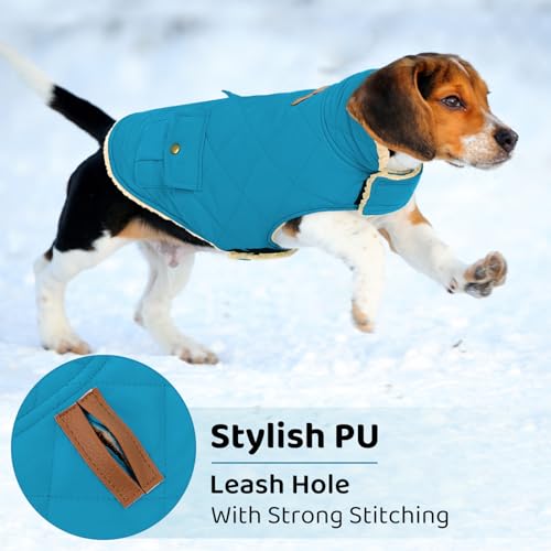 Queenmore Waterproof Dog Winter Coat Warm Puffer Jacket Plush Lining Vest - color: Blue, size: X-Small