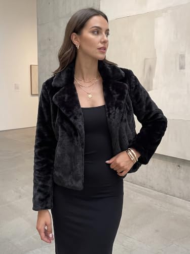 Allegra K Women's Cropped Faxu Fur Jacket Lapel 2026 Winter Fur Coat Outfit - color: Black, size: Large