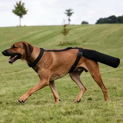 Dog Tail Protector for Large Dogs Adjustable Harness Style Tail Guard-Black