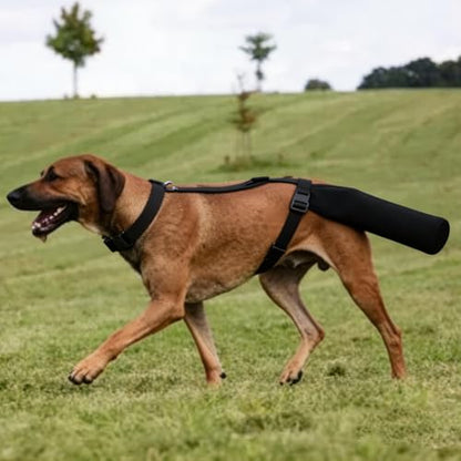 Dog Tail Protector for Large Dogs Adjustable Harness Style Tail Guard-Black