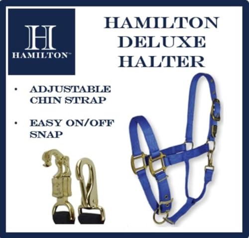 Hamilton Deluxe Adjustable Horse Halter, 800-1100 lbs, Red | Premium Quality 1" Triple Ply Nylon, Average/Arabian/Yearling Draft, Adjustable Chin Strap, Throat Snap, Solid Brass Hardware - color: Red, size: Average, 800-1100lbs