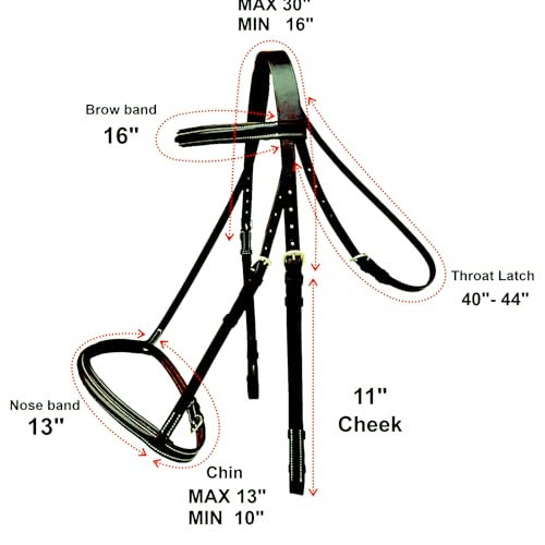 Majestic Ally Padded Raised English Bridle, Premium Leather, Matching Laced Reins - color: Black, size: Draft