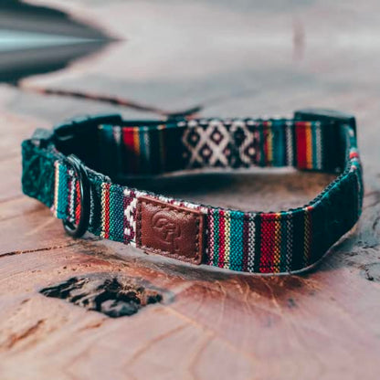 Embark Dog Collar - Adjustable Heavy Duty Outdoor Pet Training Collar - color: Mayan, size: Large