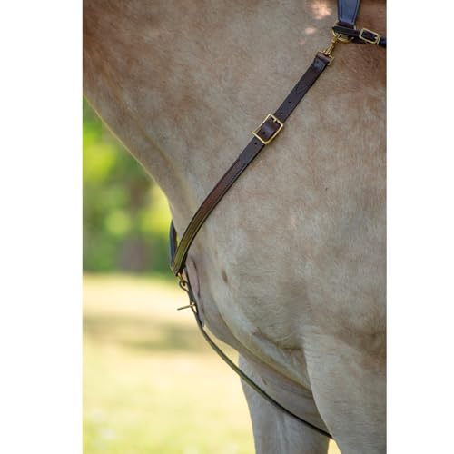 Tucker Classic Montreal Breast Strap Trail Horseback Riding Equestrian Sports Saddle Support Tack w/Durable Leather Over-The-Neck Breast Collar, Metal Hardware & Fleece-Lined Chest Tab - color: Brown/Brass Hardware