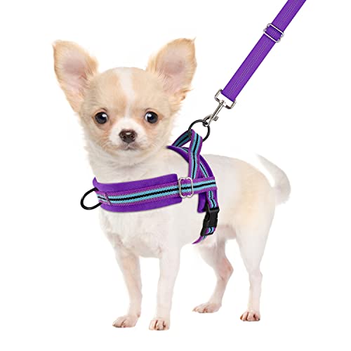 SlowTon No Pull Small Dog Harness and Leash Set with Front Clip | Soft Padded, Neck & Chest Adjustable, Lightweight, Anti-Twist, Puppy Vest Harness Pet Lead Combo for Small Medium Dog, PU XXS - color: Purple, size: XX-Small