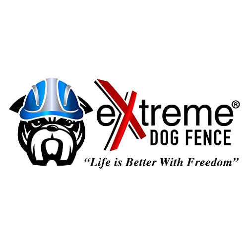 Underground Electric Dog Fence Kit, Standard, 1-Dog, Complete System | Complete DIY system: digital transmitter, waterproof receiver(s), boundary + twisted wire, training flags, splices, Premium - size: 1000 ft
