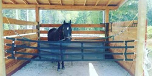 Dura-Tech Aisle Guard | Color Black | Expands 10' to 12' | High Visibility Nylon Mesh | Promotes Maximum Airflow | Comes with Installation Kit Quality - color: Black